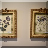 A35. Pair of botanical prints in bow frames. 13” x 9” 